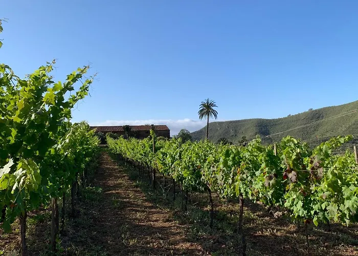 Cerca De La Costa De * La Laguna (Tenerife)
